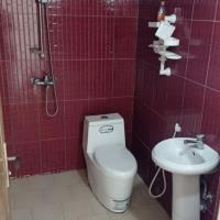 سرویس بهداشتی فرنگی 